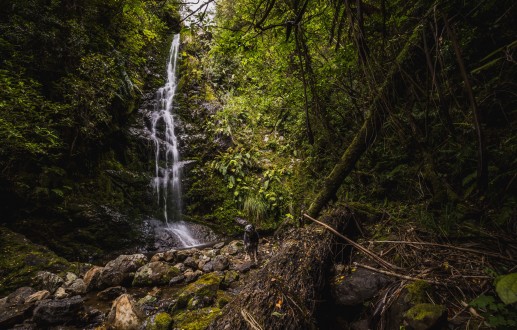 Do Go Chasing (Smith Creek) Waterfalls